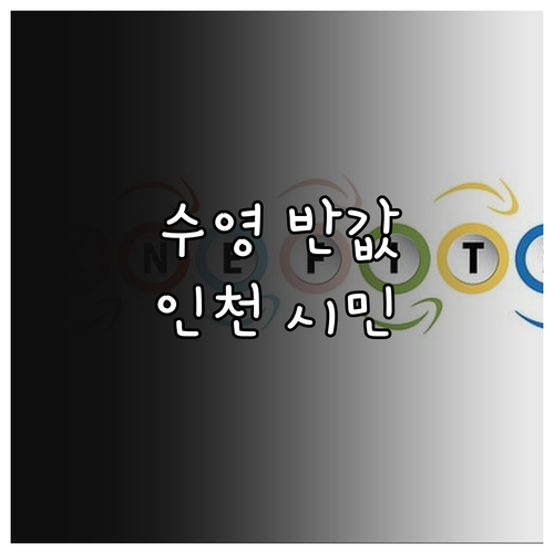 인천 시민 필독 2025: 수영 강습..