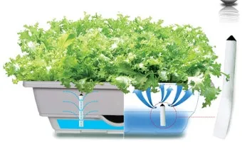 자동급수 화분 선택 물탱크관리 여행중건조 예방 쉬운 사용법_3