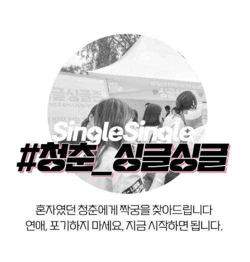 청춘페스티벌 2023