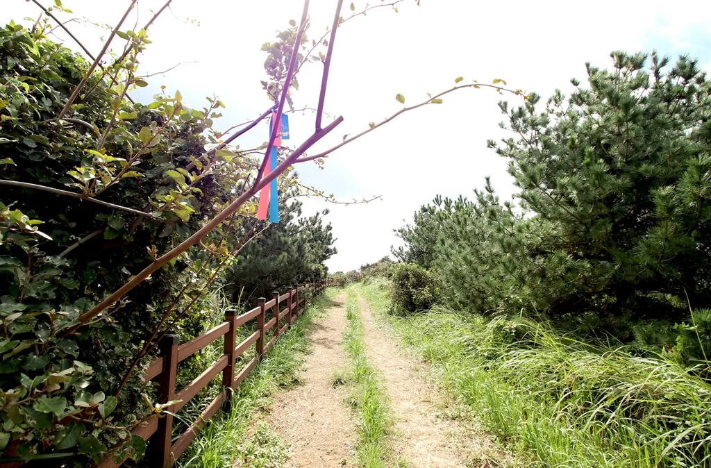 1-1코스의 하이라이트인 우도봉 능선 산책로 사진.