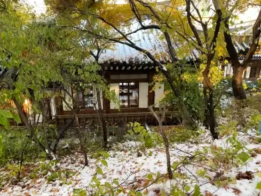 연말연시 술없는 모임장소 추천 한국의 집 고호재