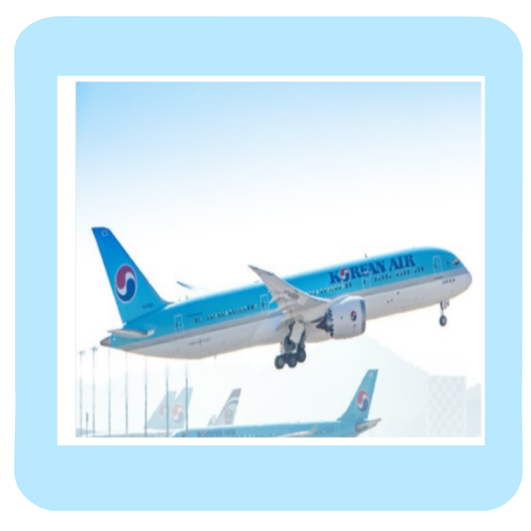 대한항공 마일리지 몰 조회부터 적립,전환 사용 꿀팁까지 — 실사용 후기