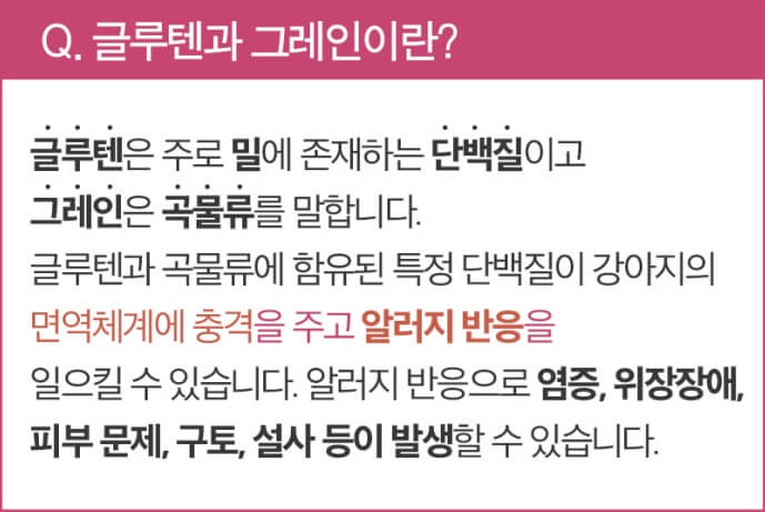 강아지 피부 영양제