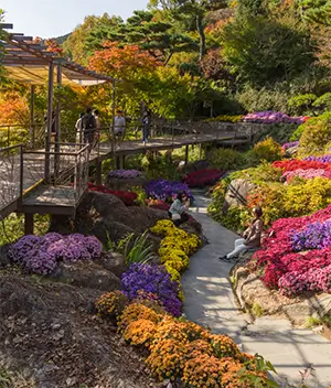 화담숲 테마별 사진