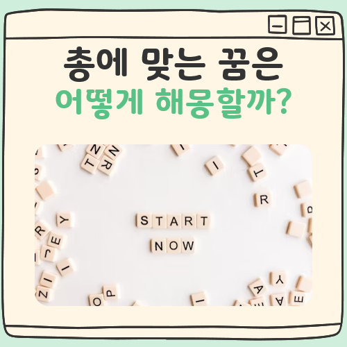 총 맞는 꿈 해몽 대표 이미지