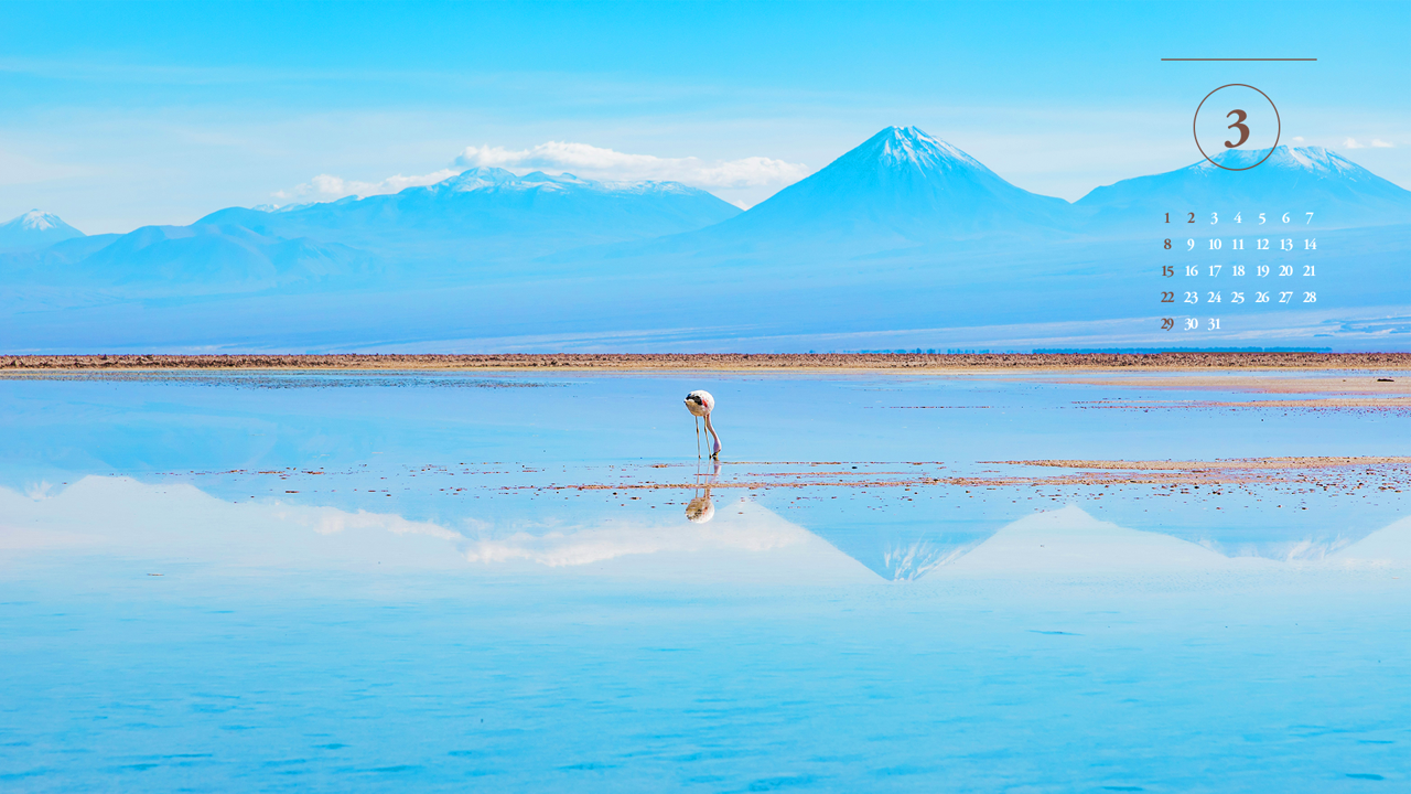 03 칠레 아타카마의 플라밍고 A - 2026년3월 달력배경화면