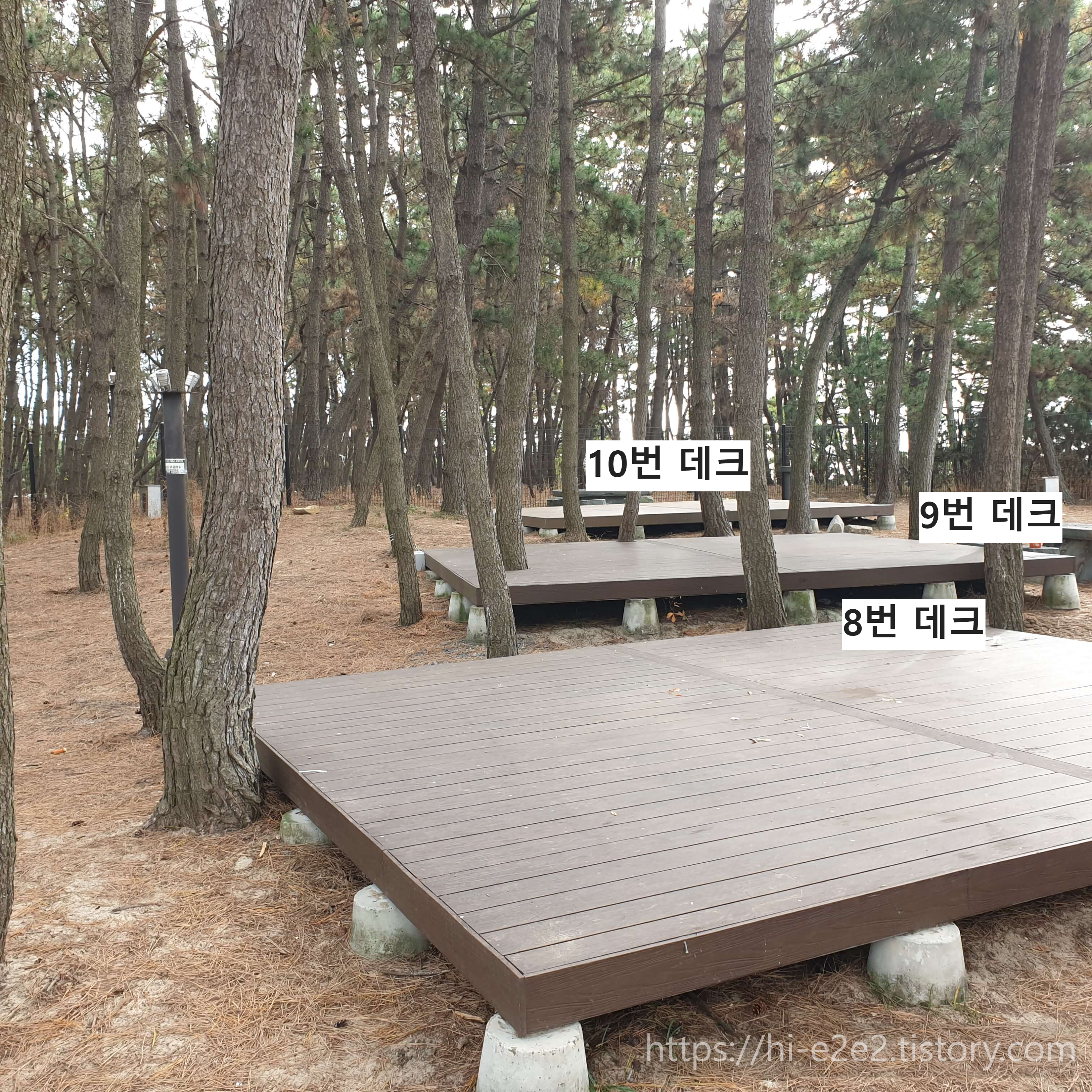 원산도해수욕장 소나무숲 캠핑장 데크 정보