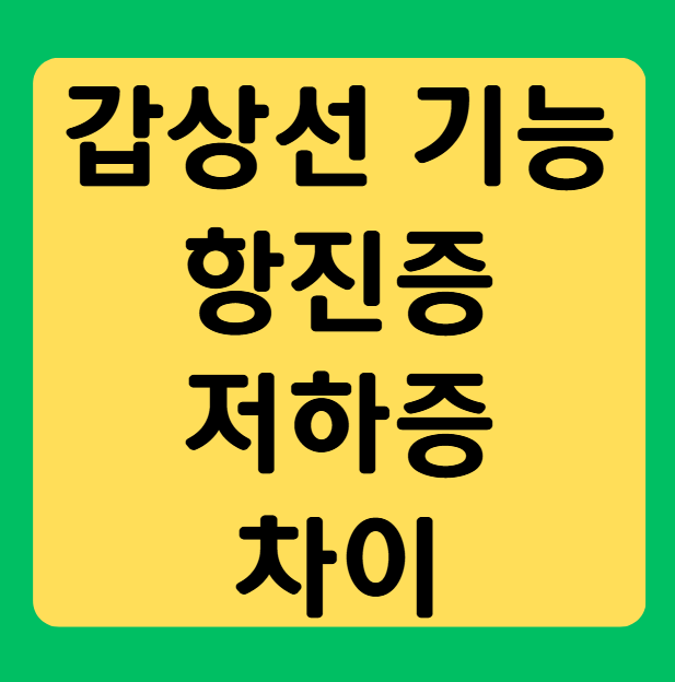 갑상선 기능 항진증 저하증 차이, 한눈에 알아보기
