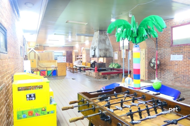 경기-연천-숲속의쉼터-캠핑장-예약-방법-애견-동반-가격-주소-시간-후기