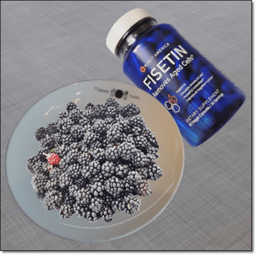 블랙베리와 피세틴 보충제