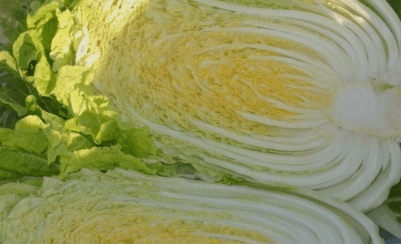 백김치 맛있게 담그는 방법