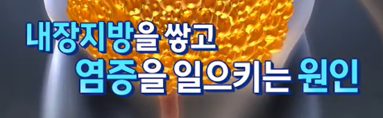 모로실 효능