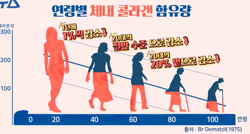 코엔자임큐텐의 효능