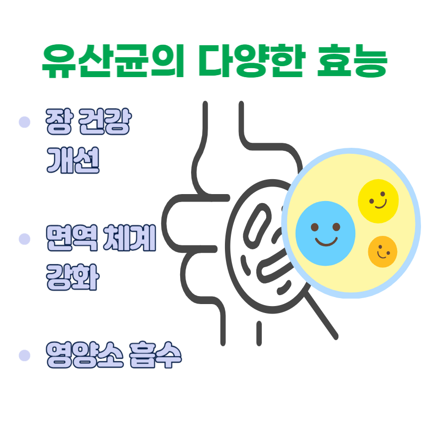 유산균의 다양한 효능