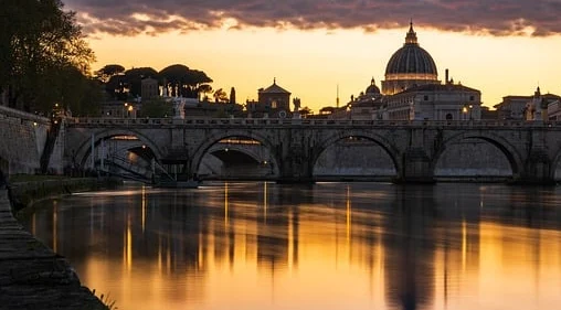 반려동물 자격증 창업 취업