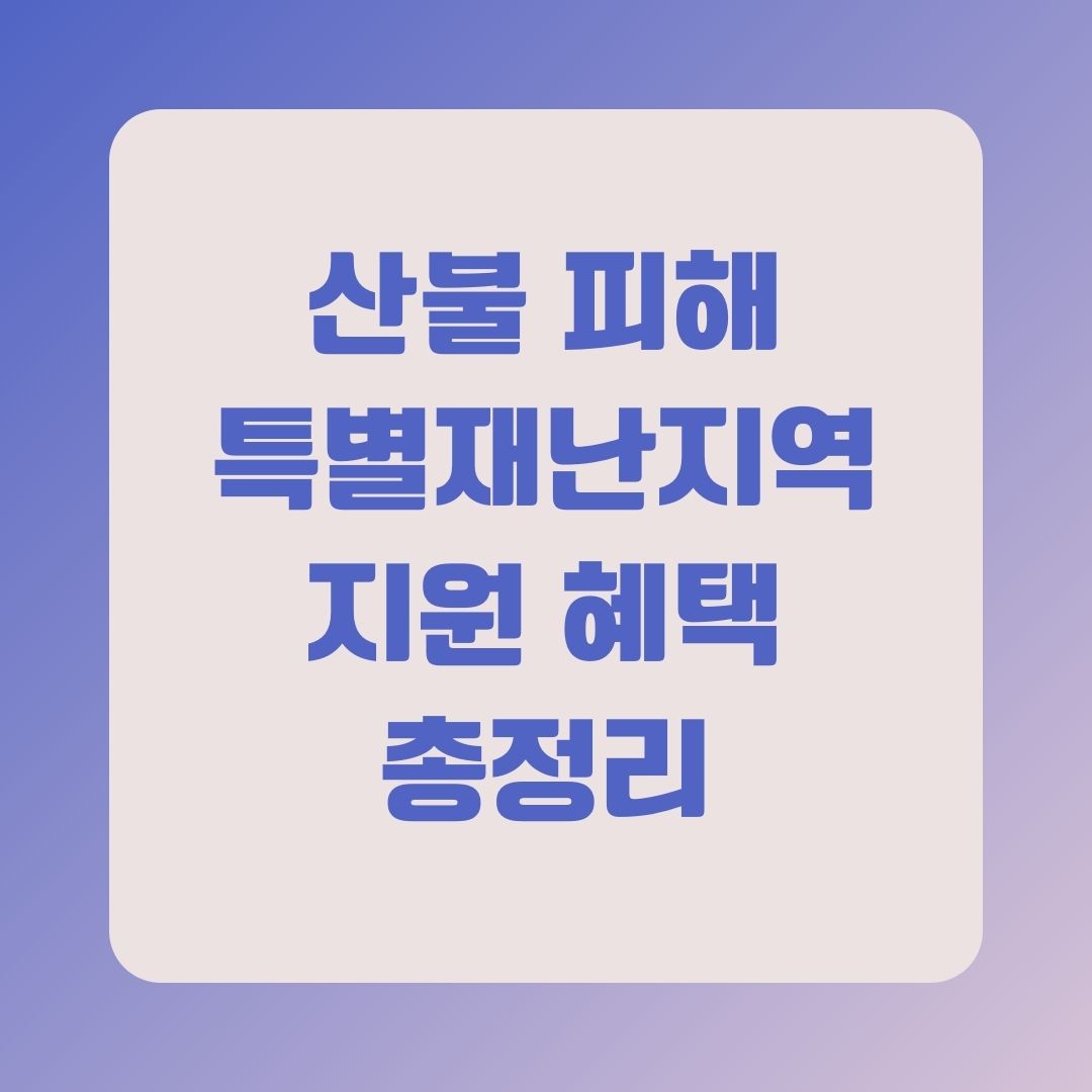 산불 피해 특별재난지역 지원 혜택 총정리