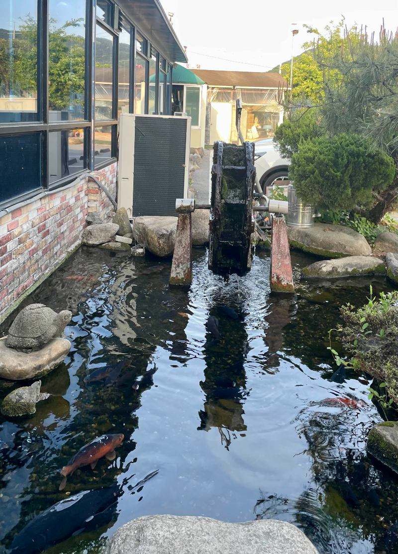 군위 참좋은 한우 정육식당 앞 연못