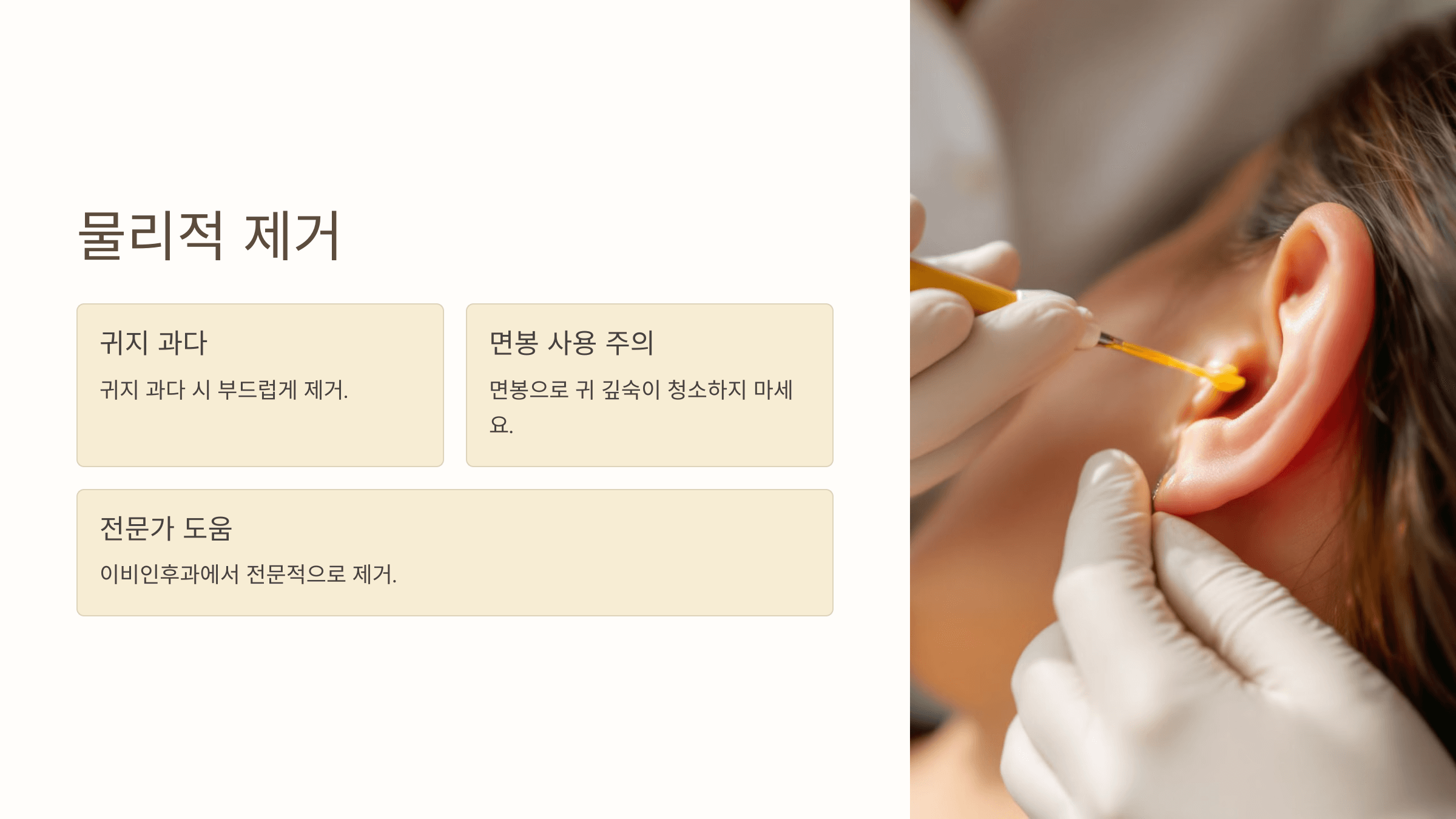 귀 사진입니다.