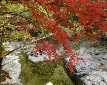 설악산 단풍&amp;#44; 절정 시기_14