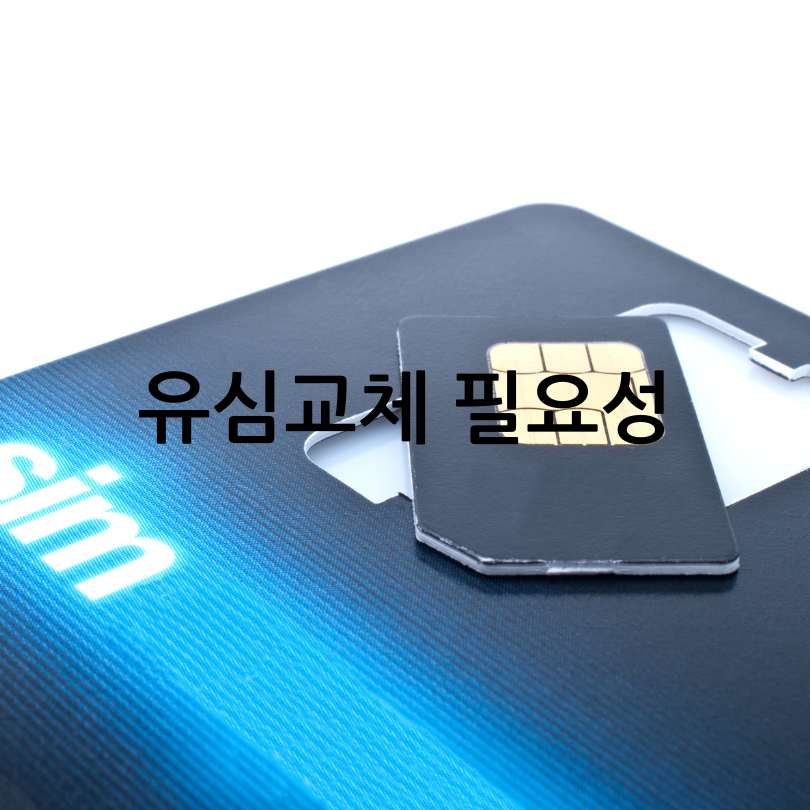 다른 SIM 사용제한 기능 : 해제방법&amp;#44; 비밀번호&amp;#44; 대처방법