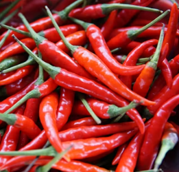 수족냉증에 좋은 음식