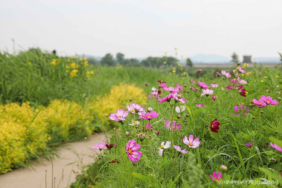 성남 가볼만한곳 베스트10