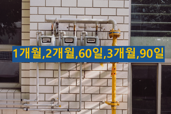 1개월&#44;2개월&#44;60일&#44;3개월&#44;90일
