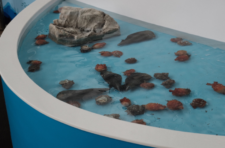 통영 수산과학관