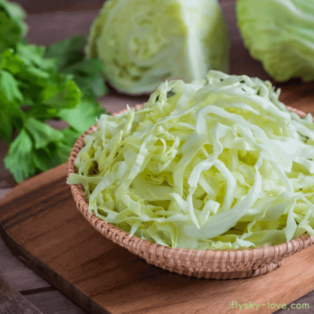 채썬 양배추