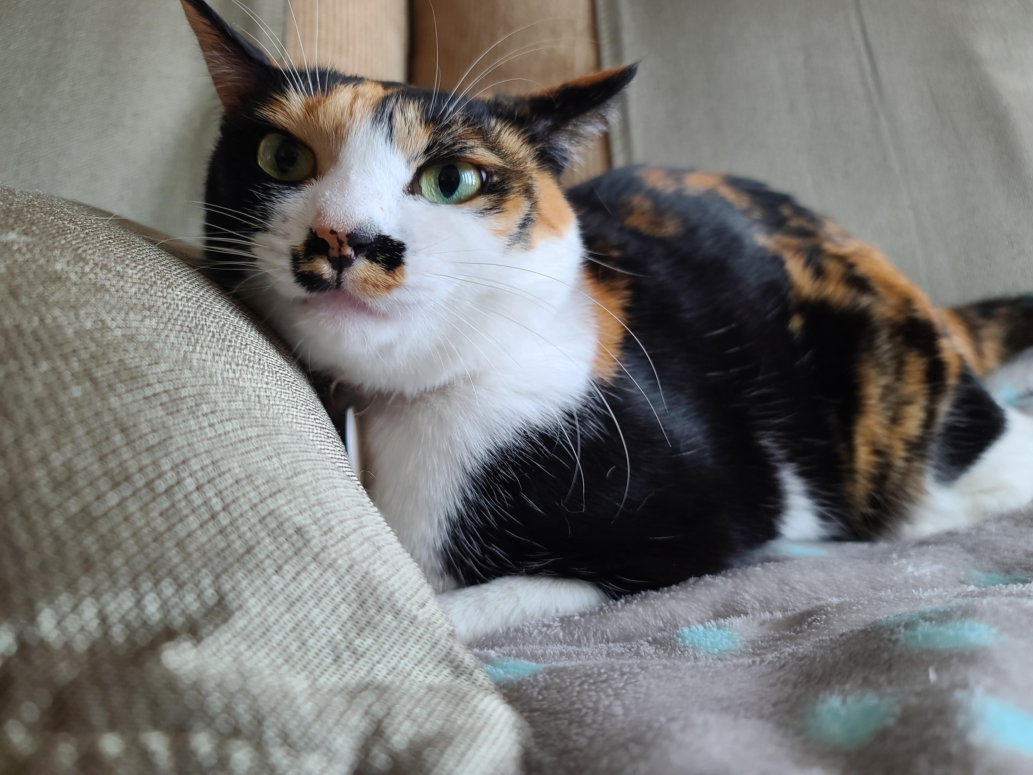 까칠함 뒤의 다양한 다다 모습들.