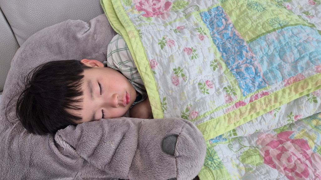 생후 44개월 / 13개월 차 우리 아이 성장과 발달