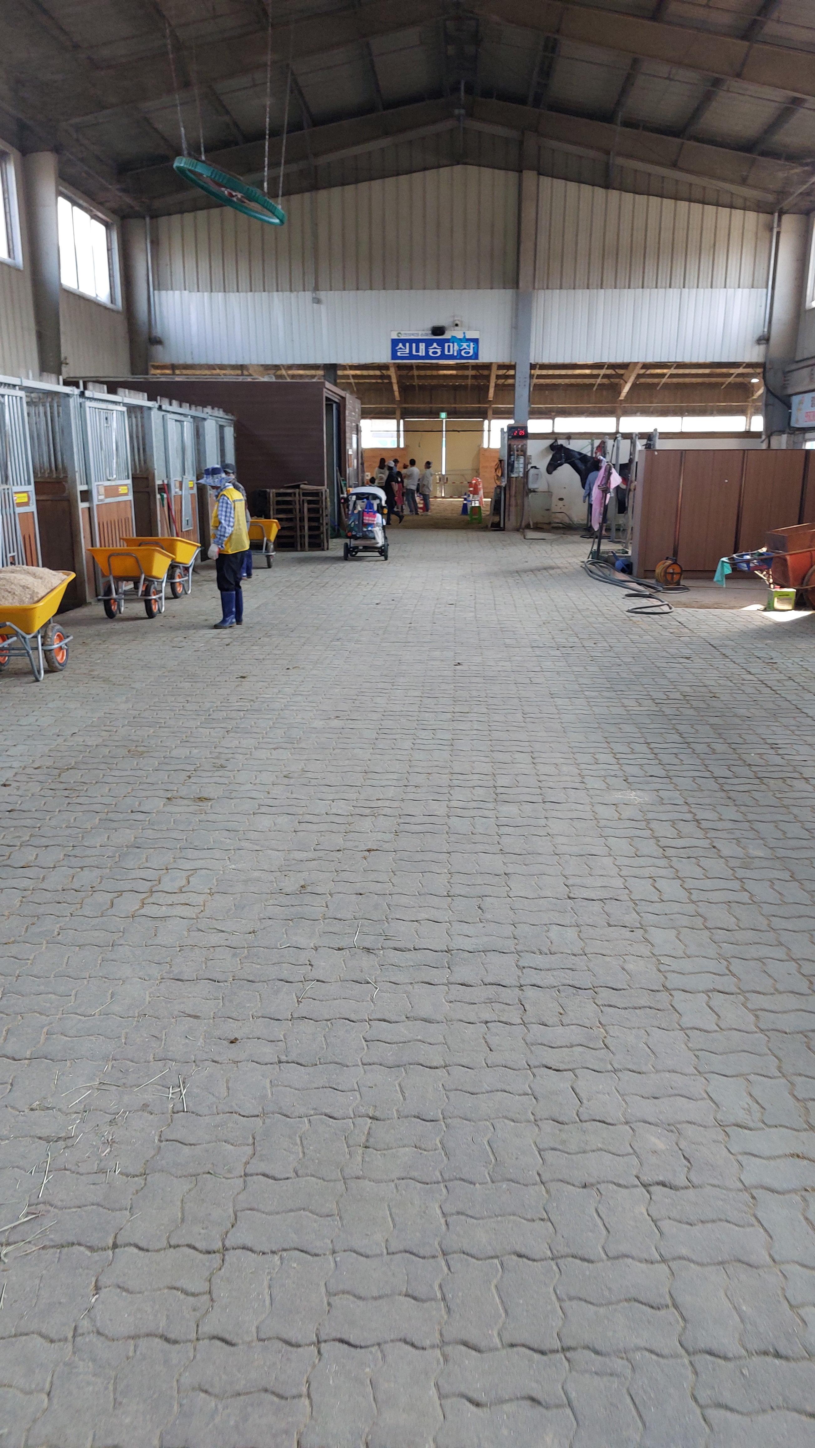 안성팜랜드 실내승마체험장 입구 들어가는중
