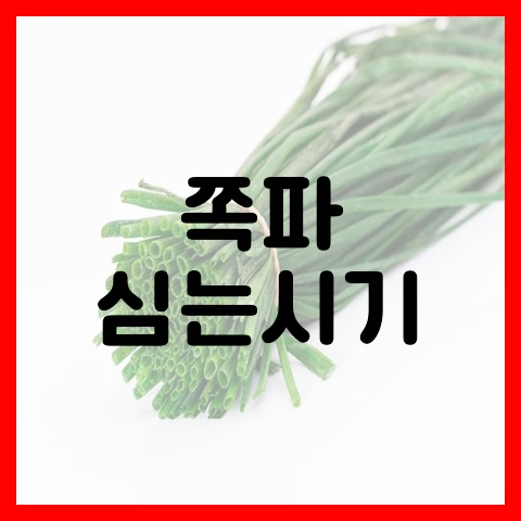 쪽파 심는시기 재배방법