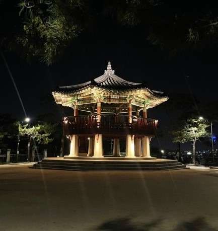 2025년 을사년 새해 해돋이 명소 top10