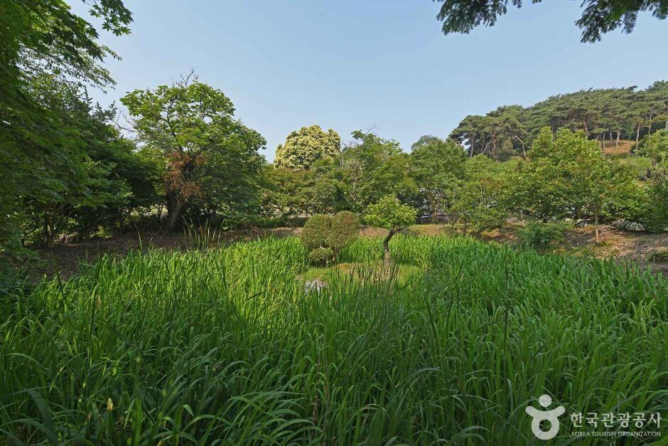 서천 가볼만한곳 베스트 10