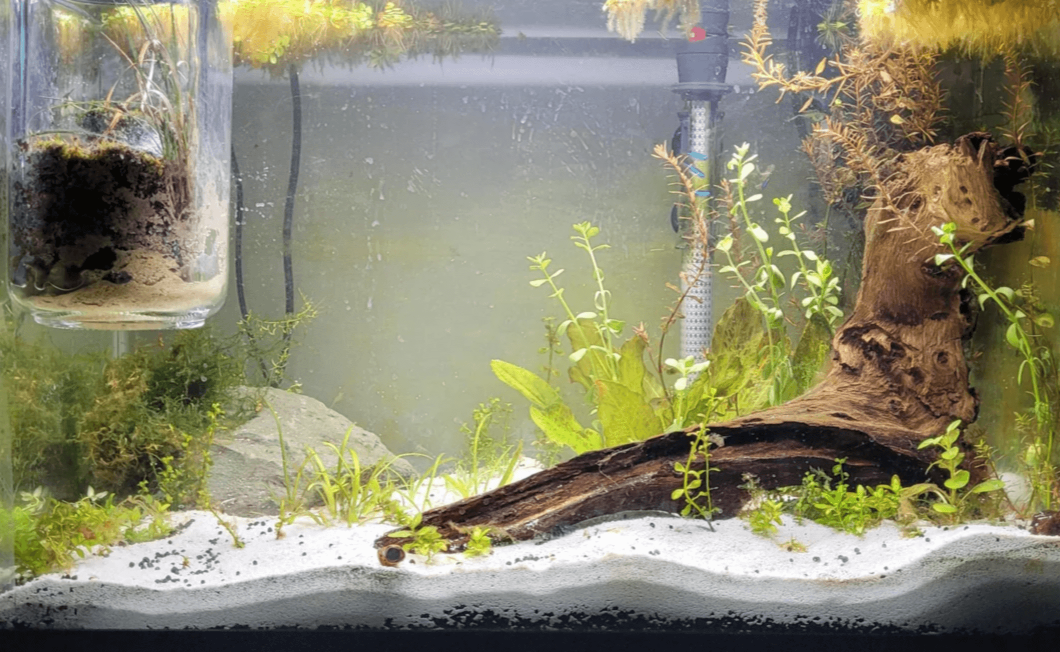 3자 광폭 어항 세팅 비용