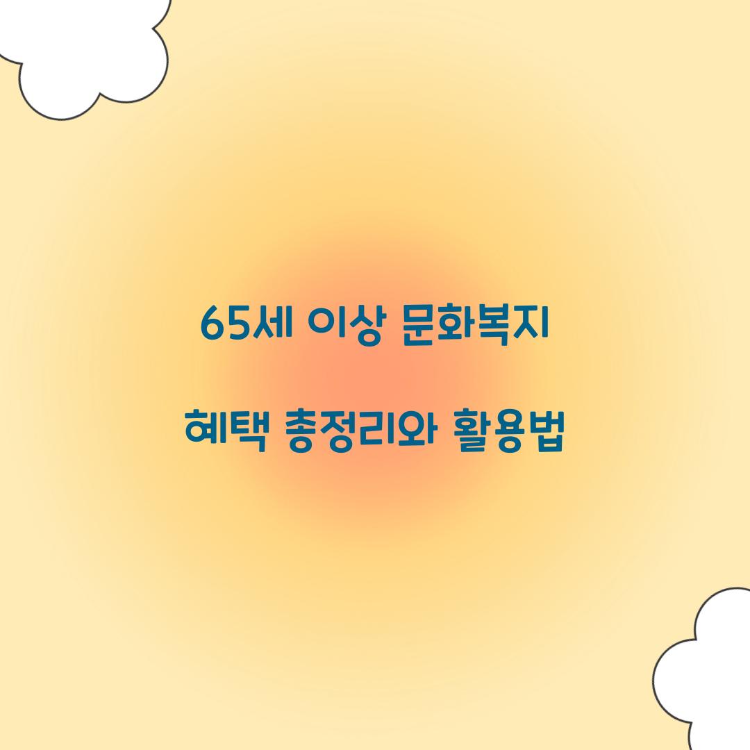65세 이상 문화복지