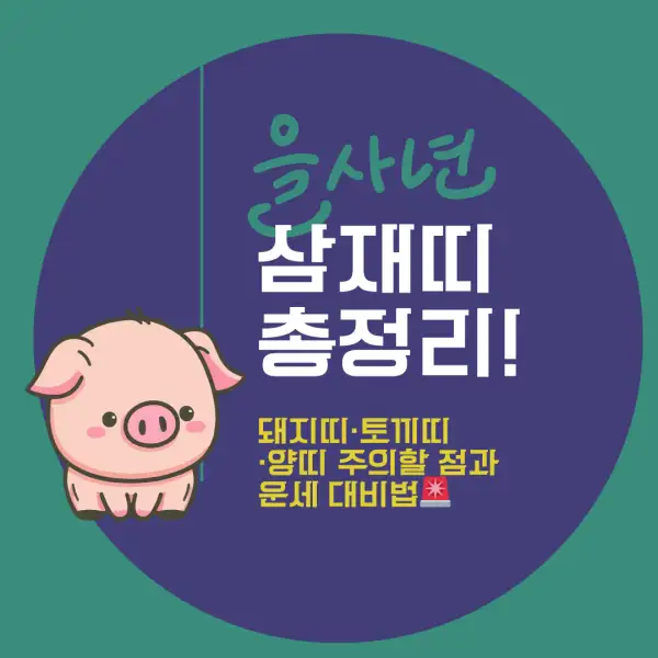 2025년 삼재띠 총정리!