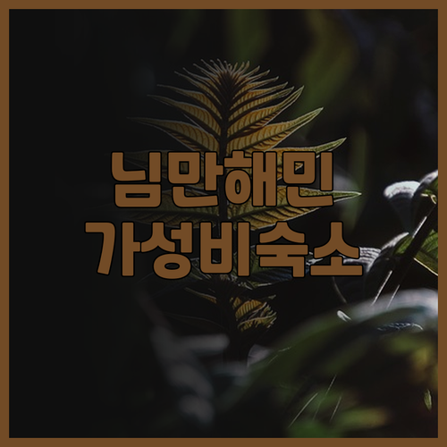 스테이 위드 님만 솔직 후기! 위치,..