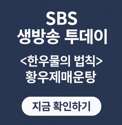 SBS생방송투데이