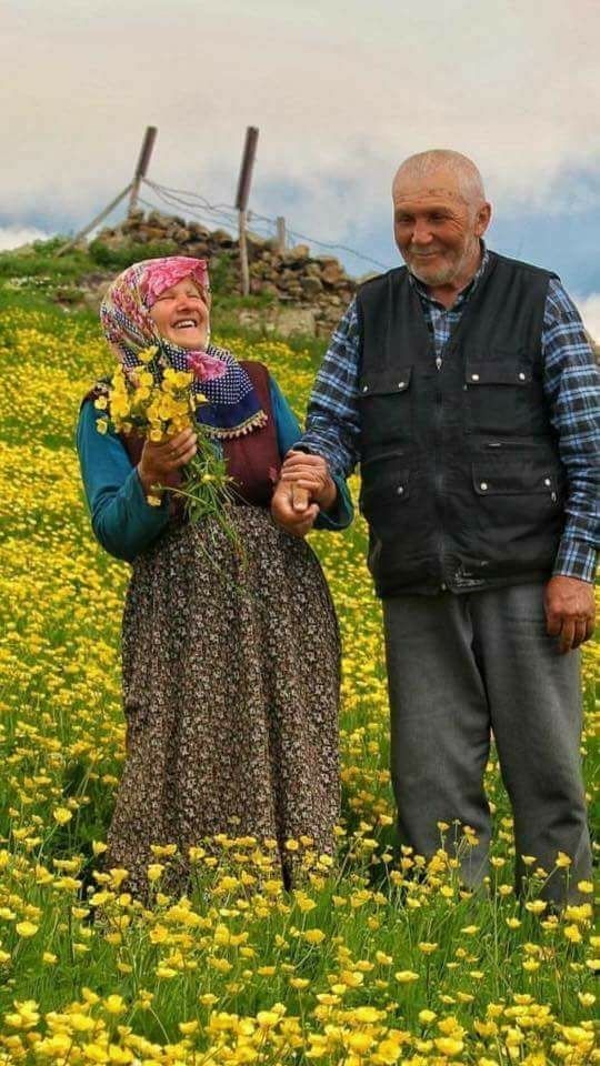 노인장기요양보험