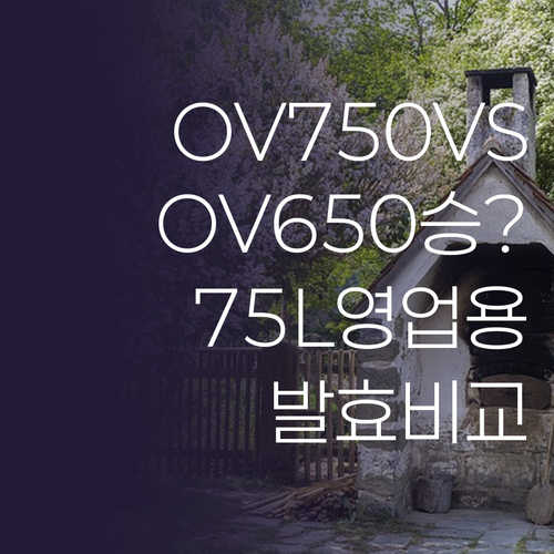 리빙웰 대용량 오븐 추천 OV750 ..