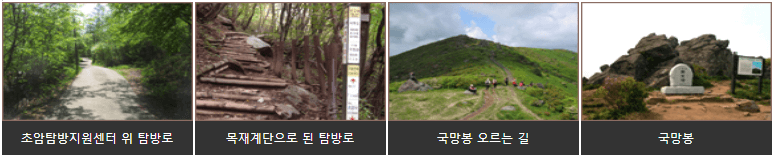 초암사국망봉