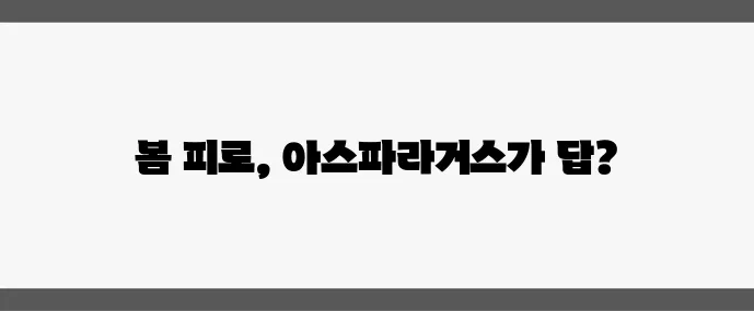 아스파라거스 효능 (피로 해소에 좋은 봄철 채소)