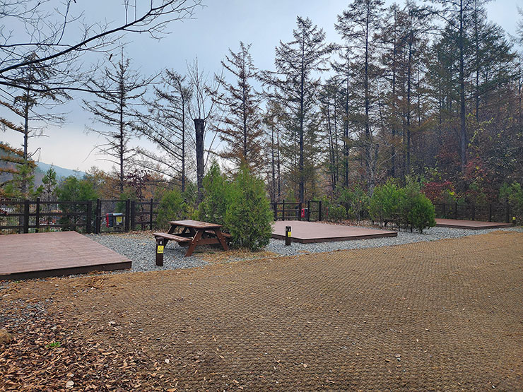 강원도 국립 화천숲속야영장 소개