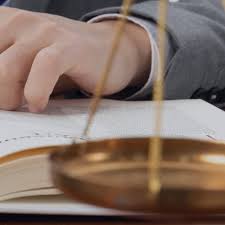 신용불량자 모바일 앱으로 간편 확인 방법