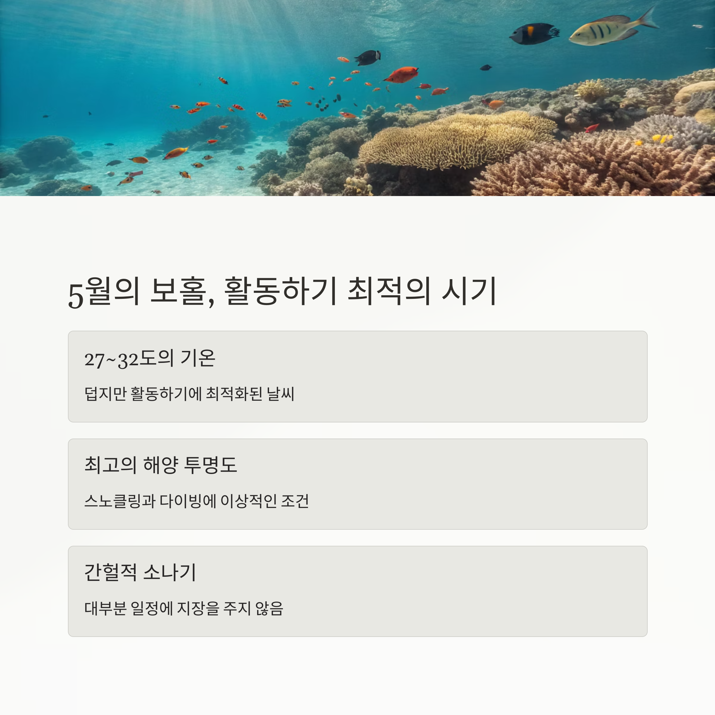 5월의 보홀, 활동하기 최적의 시기
