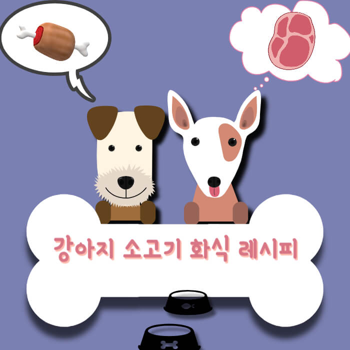 강아지 소고기 화식 레시피