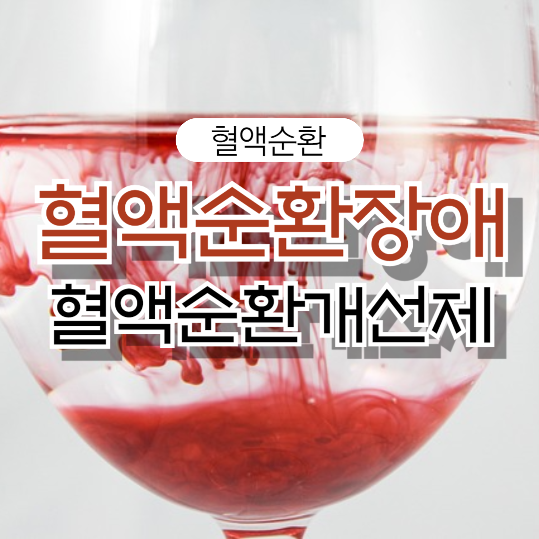 혈액순환장애 혈액순환개선제 약 없이 극복하는법