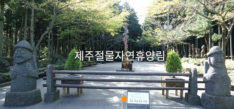 11월 제주도 가볼만한 10곳 여행지 완벽 가이드